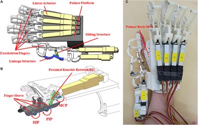 Control of Newly-Designed Wearable Robotic <mark class="highlighted">Hand Exoskeleton</mark> Based on Surface Electromyographic Signals